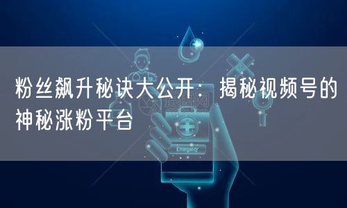 粉丝飙升秘诀大公开：揭秘视频号的神秘涨粉平台