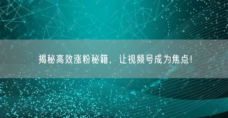 揭秘高效涨粉秘籍，让视频号成为焦点！