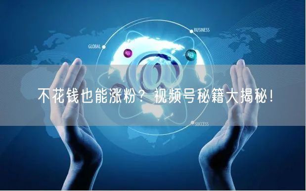 不花钱也能涨粉？视频号秘籍大揭秘！