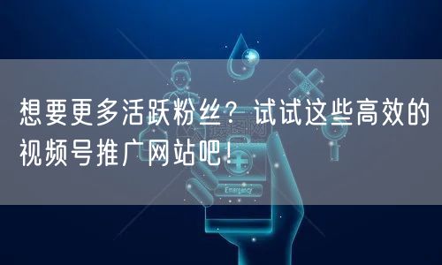 想要更多活跃粉丝？试试这些高效的视频号推广网站吧！
