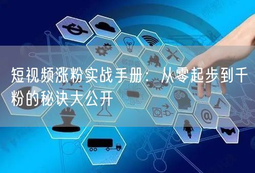 短视频涨粉实战手册：从零起步到千粉的秘诀大公开