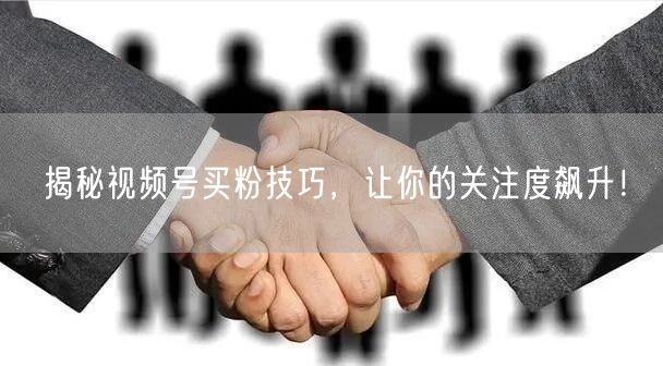揭秘视频号买粉技巧，让你的关注度飙升！