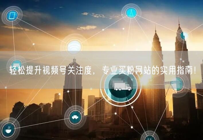 轻松提升视频号关注度，专业买粉网站的实用指南！