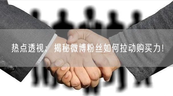 热点透视：揭秘微博粉丝如何拉动购买力！
