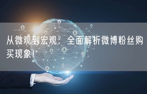 从微观到宏观：全面解析微博粉丝购买现象！
