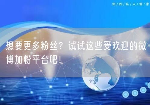 想要更多粉丝？试试这些受欢迎的微博加粉平台吧！