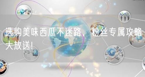 选购美味西瓜不迷路，粉丝专属攻略大放送!