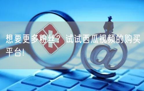 想要更多粉丝？试试西瓜视频的购买平台!