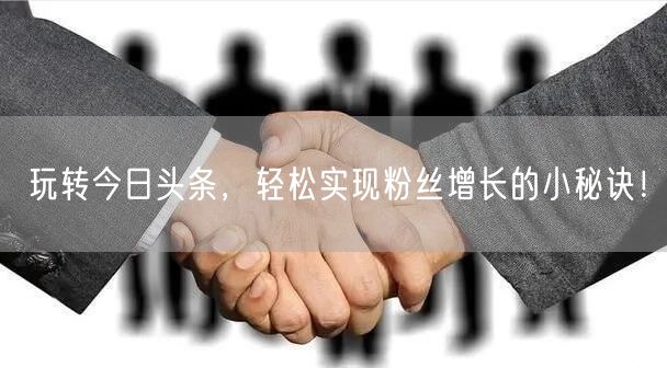玩转今日头条，轻松实现粉丝增长的小秘诀！