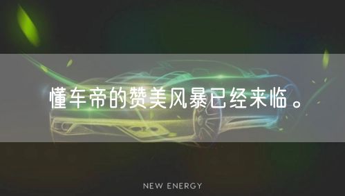 懂车帝的赞美风暴已经来临。