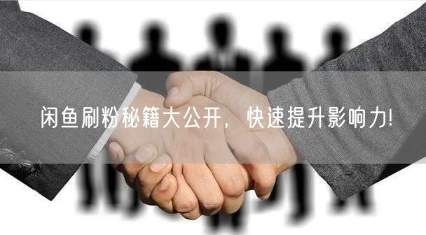 闲鱼刷粉秘籍大公开，快速提升影响力!