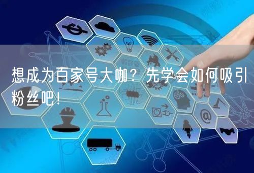 想成为百家号大咖？先学会如何吸引粉丝吧！