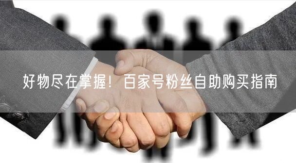好物尽在掌握！百家号粉丝自助购买指南