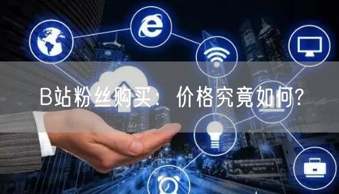B站粉丝购买：价格究竟如何?