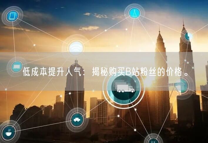 低成本提升人气：揭秘购买B站粉丝的价格。