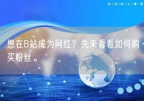 想在B站成为网红？先来看看如何购买粉丝。