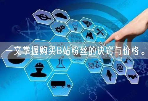 一文掌握购买B站粉丝的诀窍与价格。