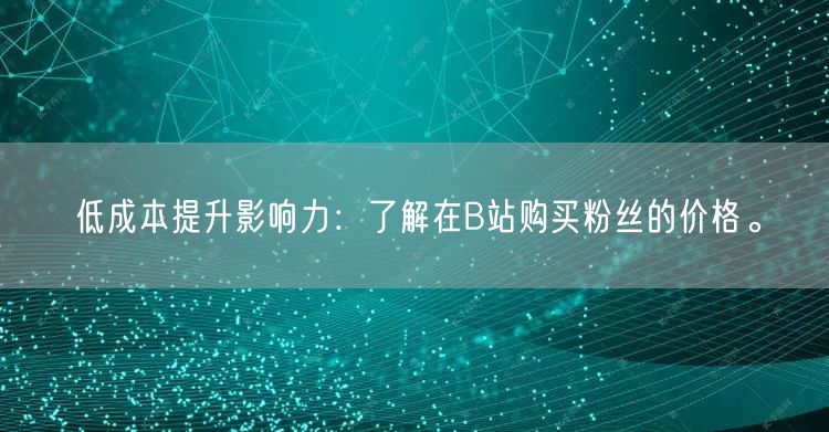 低成本提升影响力：了解在B站购买粉丝的价格。