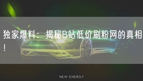 独家爆料：揭秘B站低价刷粉网的真相！