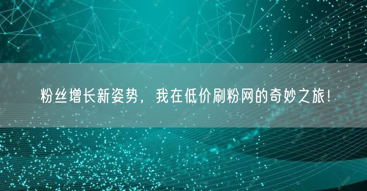 粉丝增长新姿势，我在低价刷粉网的奇妙之旅！