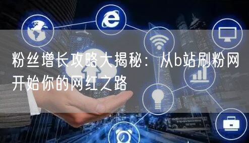 粉丝增长攻略大揭秘：从b站刷粉网开始你的网红之路