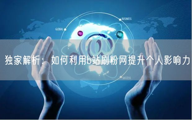 独家解析：如何利用b站刷粉网提升个人影响力