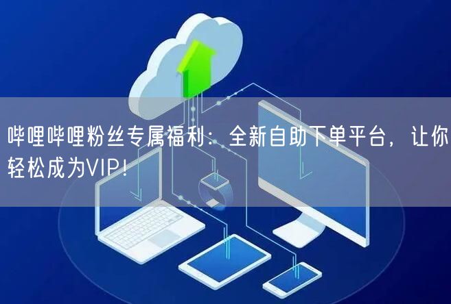 哔哩哔哩粉丝专属福利：全新自助下单平台，让你轻松成为VIP！