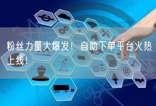 粉丝力量大爆发！自助下单平台火热上线！