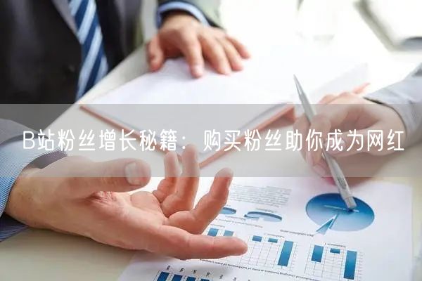 B站粉丝增长秘籍：购买粉丝助你成为网红