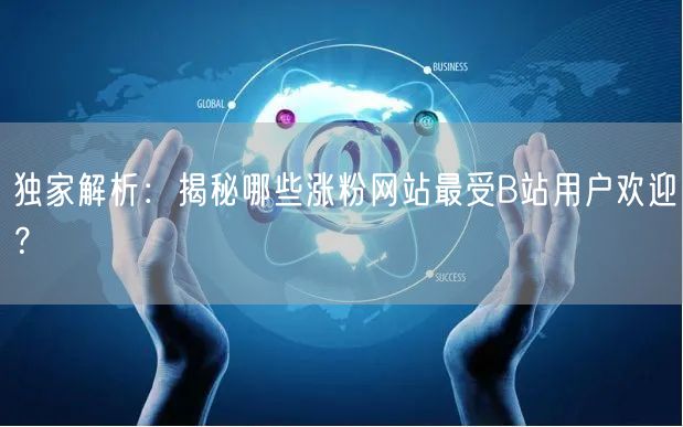 独家解析：揭秘哪些涨粉网站最受B站用户欢迎？