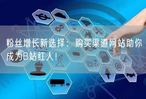 粉丝增长新选择：购买渠道网站助你成为B站红人！
