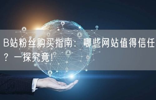 B站粉丝购买指南：哪些网站值得信任？一探究竟！