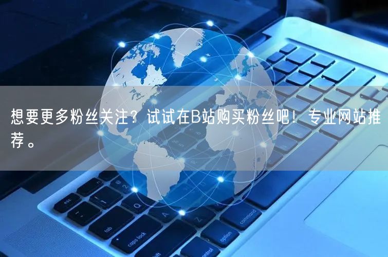 想要更多粉丝关注？试试在B站购买粉丝吧！专业网站推荐。