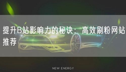 提升B站影响力的秘诀：高效刷粉网站推荐