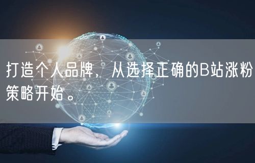 打造个人品牌，从选择正确的B站涨粉策略开始。