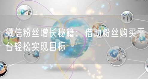 微信粉丝增长秘籍：借助粉丝购买平台轻松实现目标