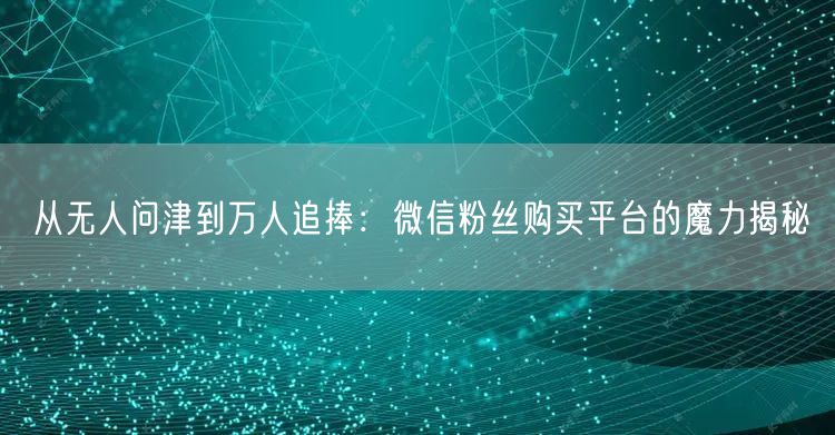 从无人问津到万人追捧：微信粉丝购买平台的魔力揭秘