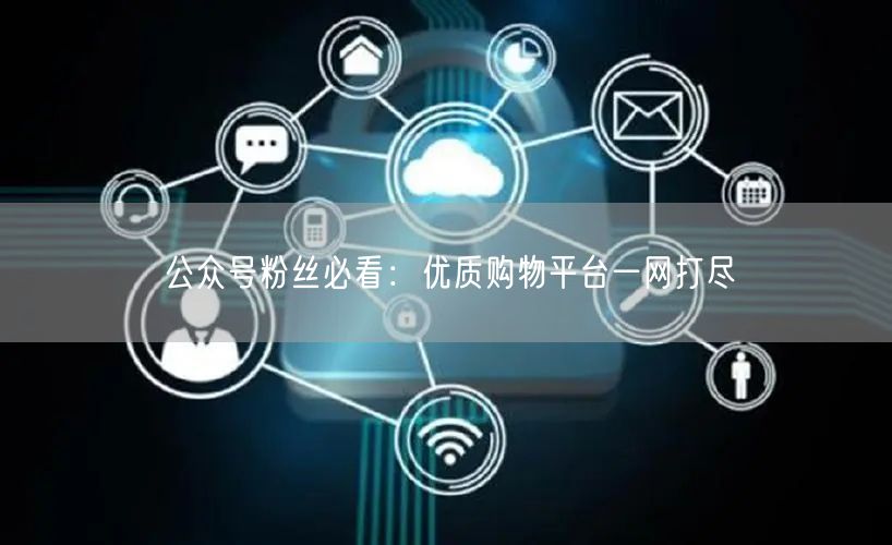 公众号粉丝必看：优质购物平台一网打尽