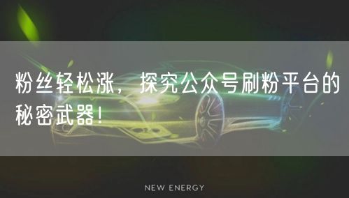 粉丝轻松涨，探究公众号刷粉平台的秘密武器！