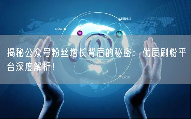 揭秘公众号粉丝增长背后的秘密：优质刷粉平台深度解析！