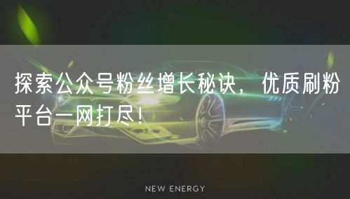 探索公众号粉丝增长秘诀，优质刷粉平台一网打尽！