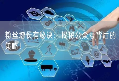 粉丝增长有秘诀：揭秘公众号背后的策略！