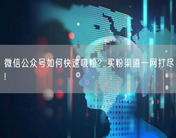 微信公众号如何快速吸粉？买粉渠道一网打尽!