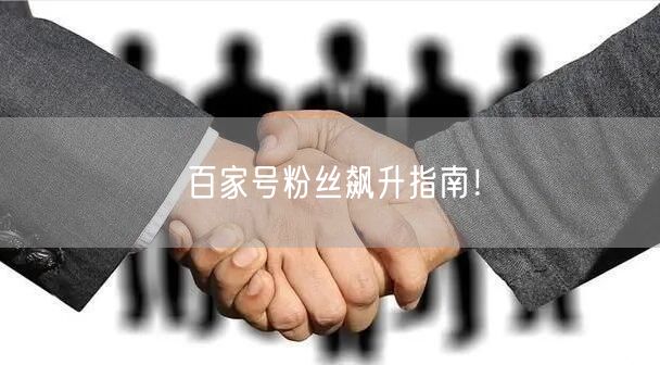 百家号粉丝飙升指南！
