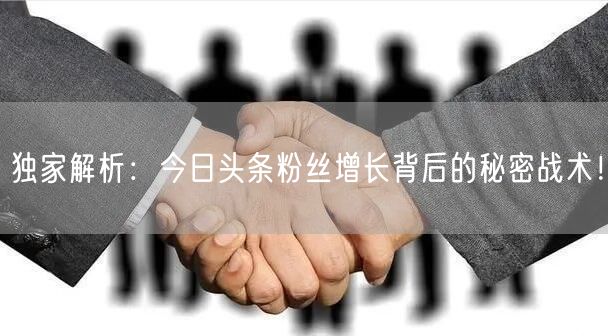 独家解析：今日头条粉丝增长背后的秘密战术！