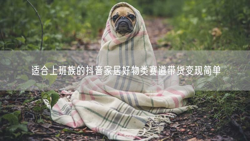 适合上班族的抖音家居好物类赛道带货变现简单