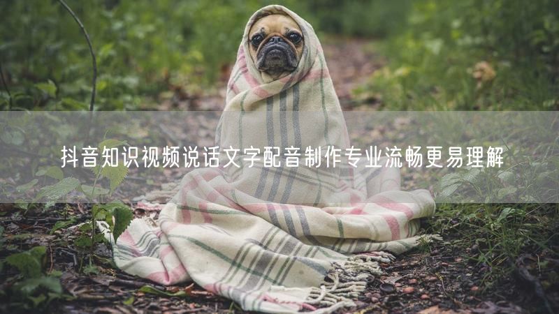 抖音知识视频说话文字配音制作专业流畅更易理解