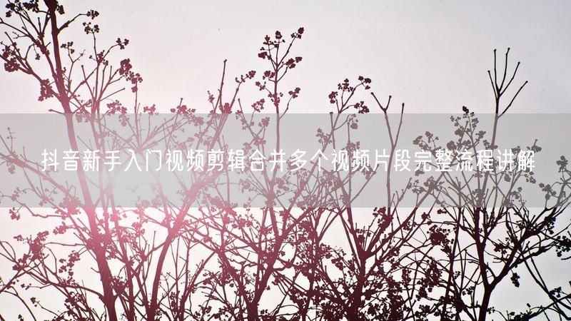 抖音新手入门视频剪辑合并多个视频片段完整流程讲解