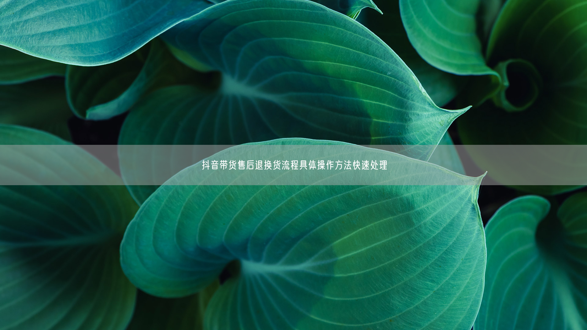 抖音带货售后退换货流程具体操作方法快速处理