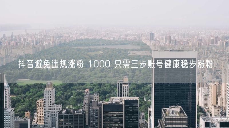 抖音避免违规涨粉 1000 只需三步账号健康稳步涨粉